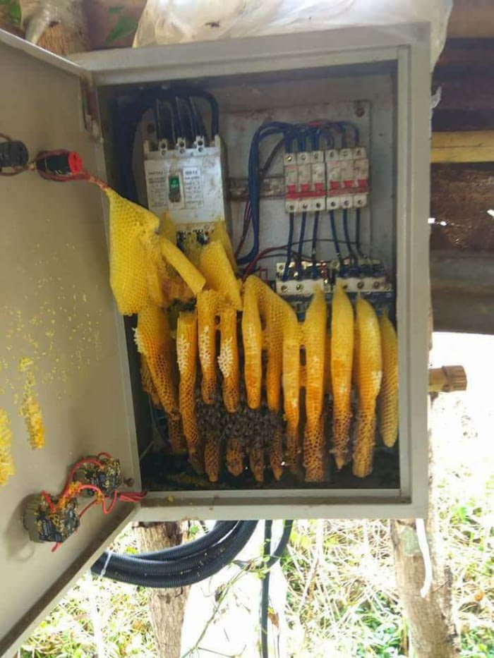 Proventurer's tweet photo. Check out these sweet electronics. https://t.co/oziKHM4VLU #Ventureforth #Electrician https://t.co/B4dlxnsvyn