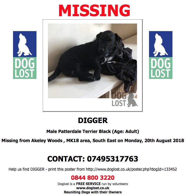 DogLostUK's tweet photo. https://t.co/jt1sXwNKjV
#LOST #DOG MISSY
**MISSING IWTH DIGGER**
Female #PatterdaleTerrier
#Akeley wood #MK18
Monday, 20th August 2018 #LostDog https://t.co/UWDP6VofYk @VetsGetScanning @SAMPAuk_ https://t.co/5PleISyO8F
