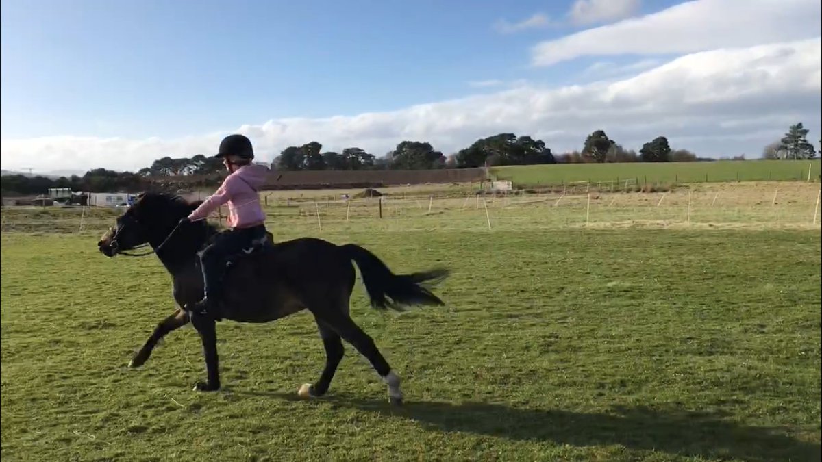 MastaRugs's tweet photo. "The difference in my daughter's pony Basil has been tremendous" #poweredbyprotechmasta The reviews of the Protechmasta range speak for themselves. Worth a try hey? Before and after pic below 

Are you benefiting from Protechmasta? #masta #harryhallfamily

https://t.co/vgoEDVYwAq https://t.co/mkClK2K1cq