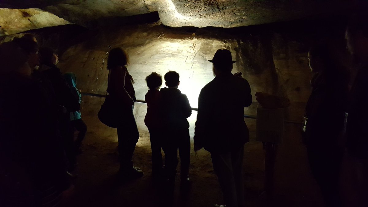 #ScienceWeek palaeoclimate cave tour in the #NaracoorteCaves by @UniofAdelaide researchers @LizReed_palaeo @BobHillUA @Richard_J_Lewis @HaideeCadd Chris Kemp, Siân Howard and even @khelgen!