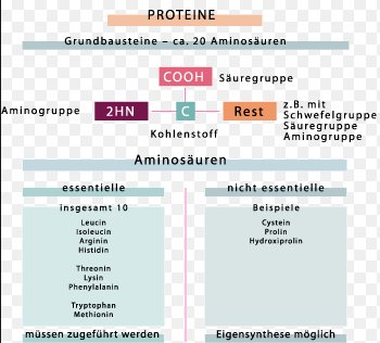 Makro-/Mikronährstoffe, Aminosäuren wie Trytophan, Ernergiegewinnung durch Ketonkörper für das Gehirn etc... 🤨🤔

Gute Ernährung und Leistungssteigerung kann kompliziert sein. 🤯

❗️Playersfood macht es leicht, durch eine Schritt für Schritt Ernährungsoptimierung 

#Werbung