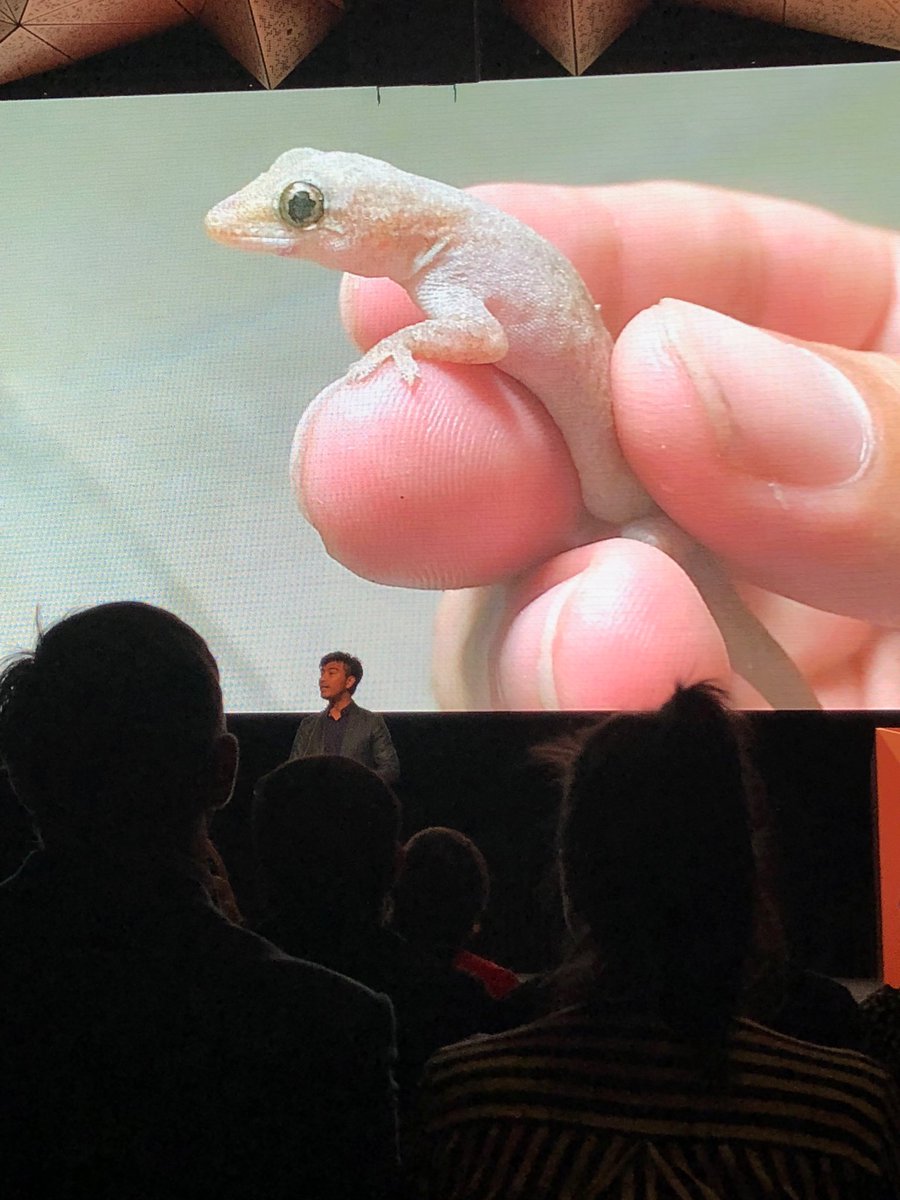 djmarsh24's tweet photo. Faculty of Science’s Yingyod Lapwong - great talk in the UTS 3 Minute Thesis competition #UTS3MT #UTSideas https://t.co/9tVvOXVMWH