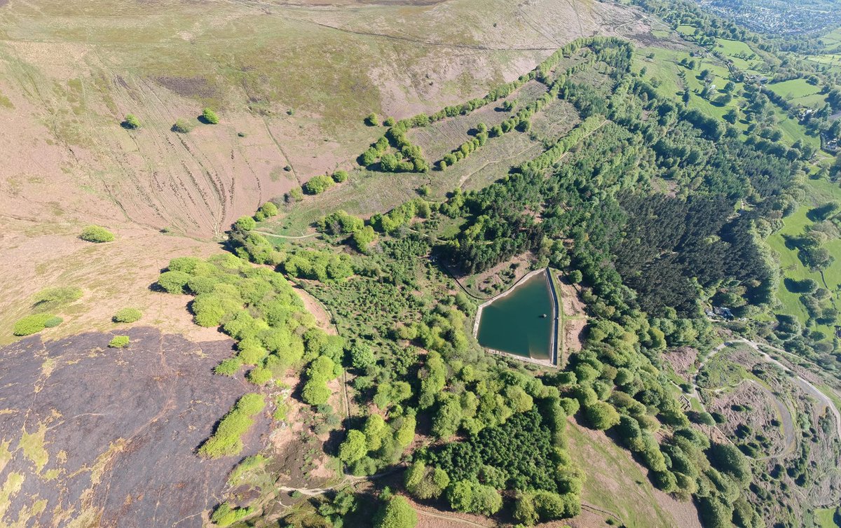 the_blaen's tweet photo. Blaen Bran Woodland https://t.co/nNd1iNI3Ai