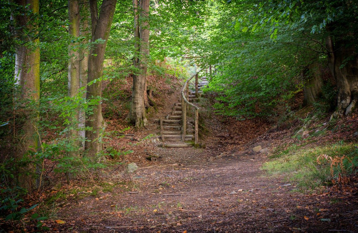 the_blaen's tweet photo. Blaen Bran Woodland https://t.co/nNd1iNI3Ai