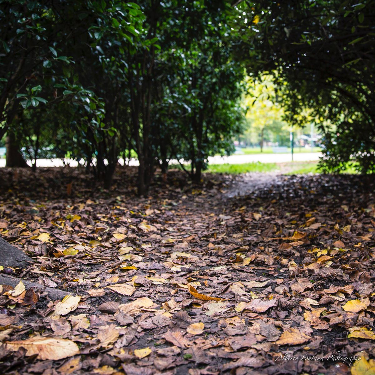 AFWorldCitizen's tweet photo. .
.
.
#entrepeneur #canon5dmarkiii #canon5dmark3 #canon5dmkiii #canon5dsr #canon5dmk3 #canon5diii #canon5d3 #photooftheday #photographer #worldcitizen #autumn #nature #autumnleaves #autumncolors #love #fall #naturephotography #travel #leaves #instapicture #instaphotographer # ... https://t.co/fOO0lmNVxh