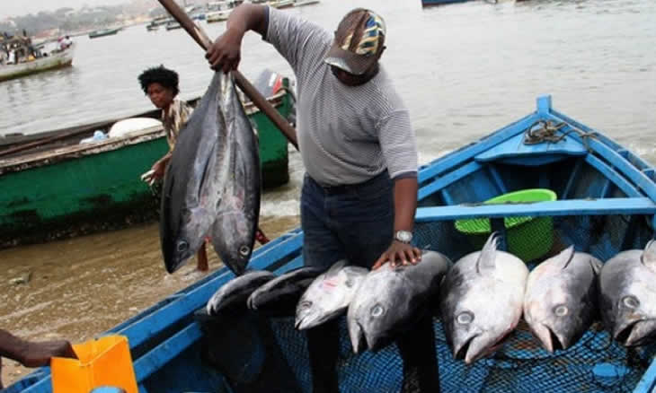opaisonline's tweet photo. Economia
Nampula espera subir de 62 para 69 mil toneladas de produção pesqueira
#producaopesqueira #facim2018 #nampula #opaisonline #opais #gruposoico
https://t.co/QHknJ42n2M https://t.co/qjtBbMHk3G