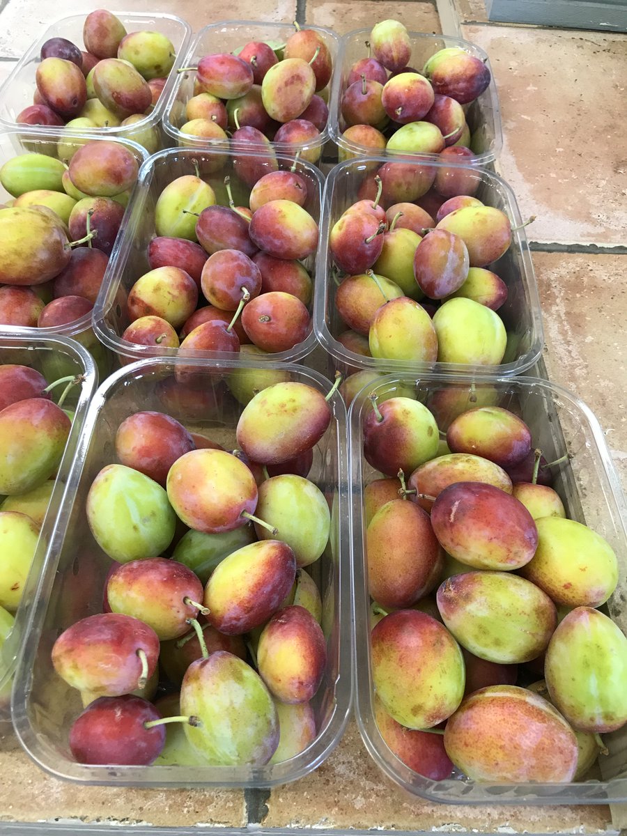 HillersFarmShop's tweet photo. #victoriaplums #localfruits #pickedfresh #newin! https://t.co/h6z41P3JUo