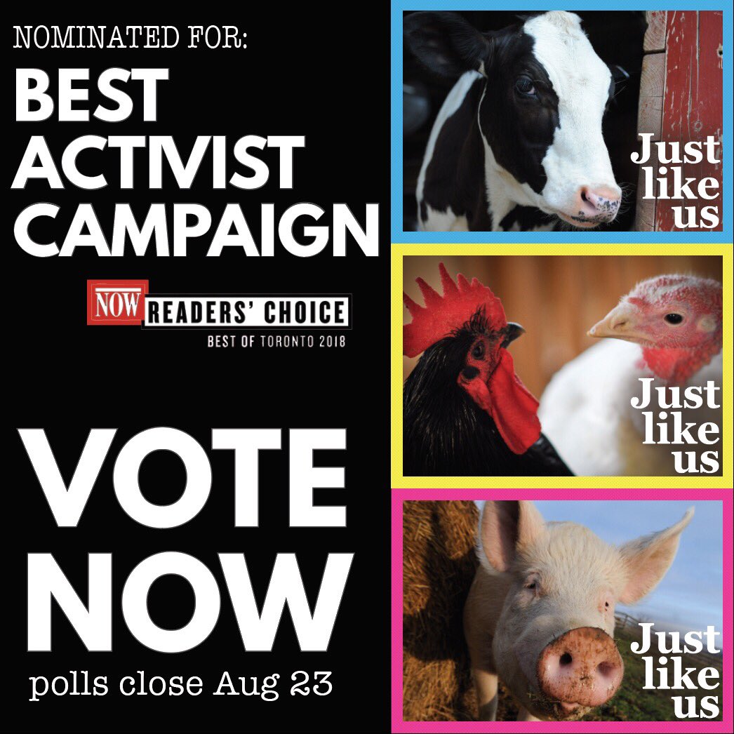 torontofishsave's tweet photo. Anita Krajnc has been nominated for best activist and the @torontopigsave Just Like Us Toronto subway ads have been nominated for best activist campaign! 

Please go vote for both categories https://t.co/h5foblN9P9

Voting closes on Aug 23rd!

#vegan https://t.co/l6s3PeyuPF