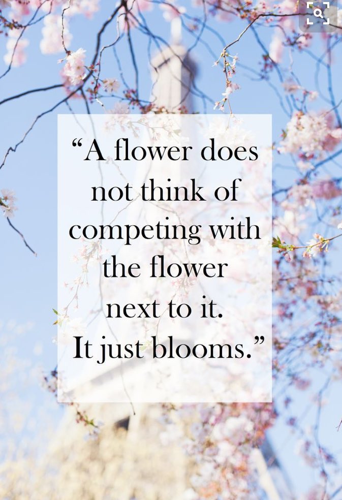 LoLo_0825's tweet image. Happy hump day friends!💕👯‍♀️#WomenSupportingWomen #ItsNotACompetition #SupportYourSisters #WeAllWantSuccess #WednesdayWisdom