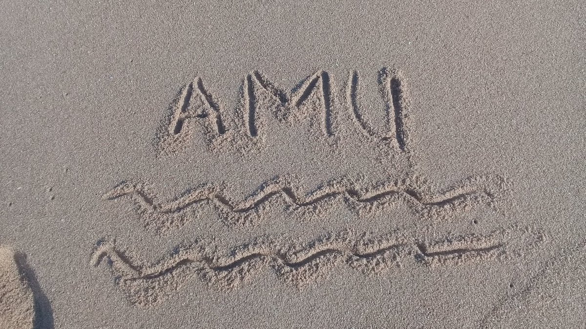Amukelani Bilankulu tweet media