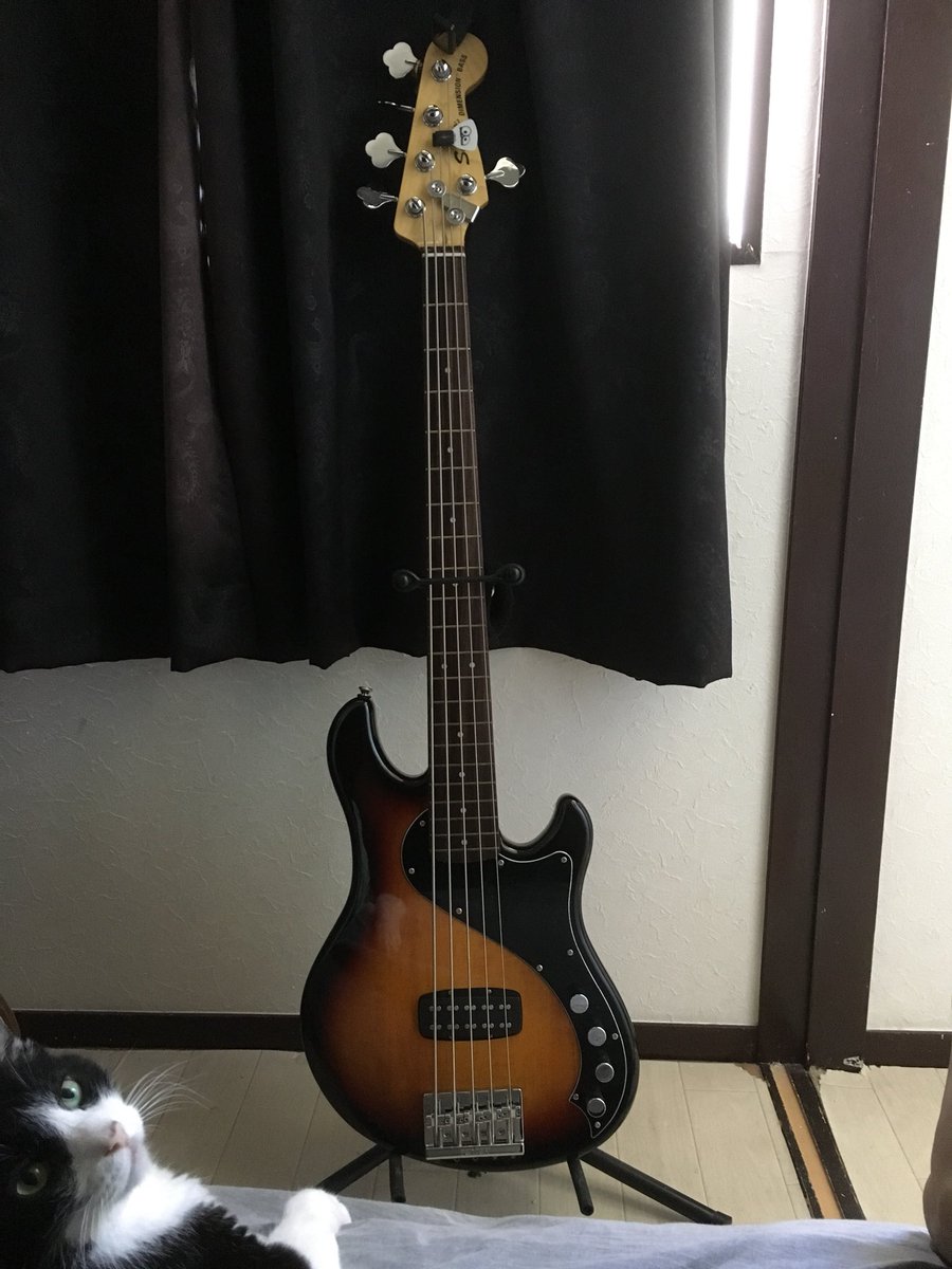 Rwarworld's tweet photo. ママにジャンピングスライディング土下座して購入許可を頂きま��た！！！
『音の個性がない』『JB、PBのいいとこ取りのハズが中途半端』を理由に製造中止になりましたが、ルックスのダサ可愛い感じが決めてになりました😍
これからはコイツで歴史とビートを刻むゾ〜
#ベース #DIMENSIONBASS https://t.co/3enF5BCc7c