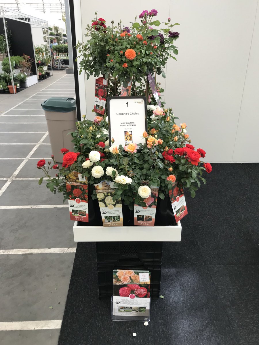 Bezoek ons de komende dagen op #plantarium stand nr: 213 om ons nieuwe rozen concept te bekijken: Corinne’s Choice. #beurs #roses