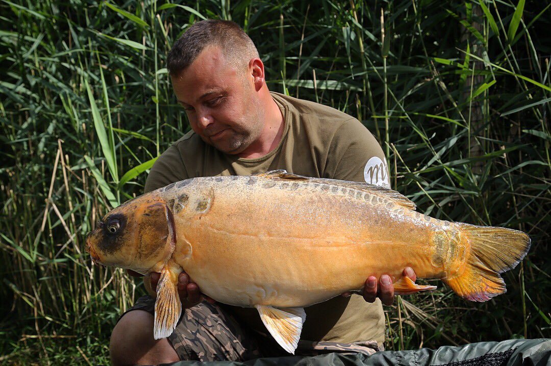 kylewal73788465's tweet photo. Gotta love a ghostly surprise!! π»
#teammainline
#bivmonkies
#trakker_carp https://t.co/rfLr9MkqwJ