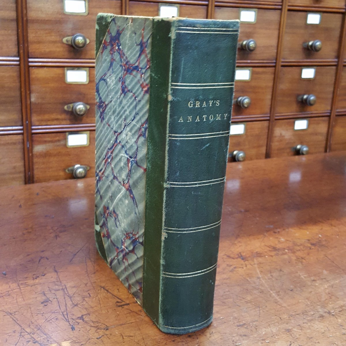RCSnews's tweet image. First purchasable for 28 shillings in 1858, #LibraryBlog looks at our collection of Gray’s Anatomy editions and what makes RCS holdings so uniquely significant #anatomy #histmed ow.ly/ruih30lryWg