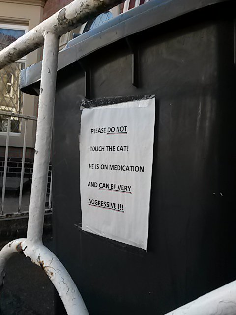 dedaderbytech's tweet photo. Ref the tweet of 10th and the bin sign. I think this is the cat!!!!! #aggressivecat https://t.co/GCwyu4rJDC