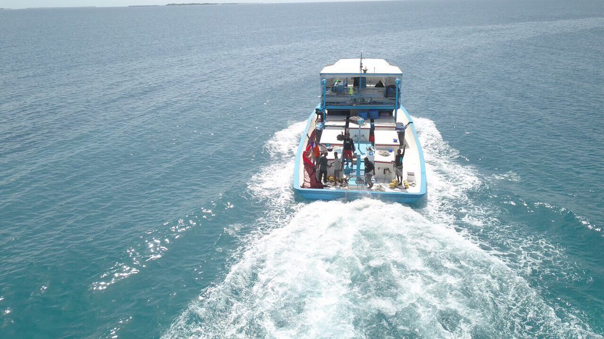 HYDS_MV's tweet photo. #ANBALANMASRACE organized by #HoarafushiCouncil

#TEAMHYDS ready to leave from Island. Please support our team. 

Sponsored by #PalmRestaurant

#Eid1439 #HYDS4YOUTH #Hoarafushi https://t.co/m3F9jezLGl