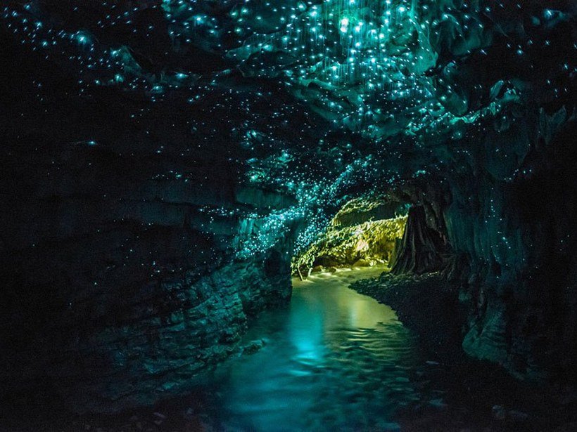 Toms__Research's tweet photo. Leave it to New Zealand to make worms look beautiful! These Glow worms leave behind a trail that glows making this cave look like a milky way. 🌌

Contact me now at https://t.co/NcKjdcTR9i for excluisve travel research all in an easy to read unqiue #travelguide✈️
.
.
#travel https://t.co/QK4SZ7RpEN