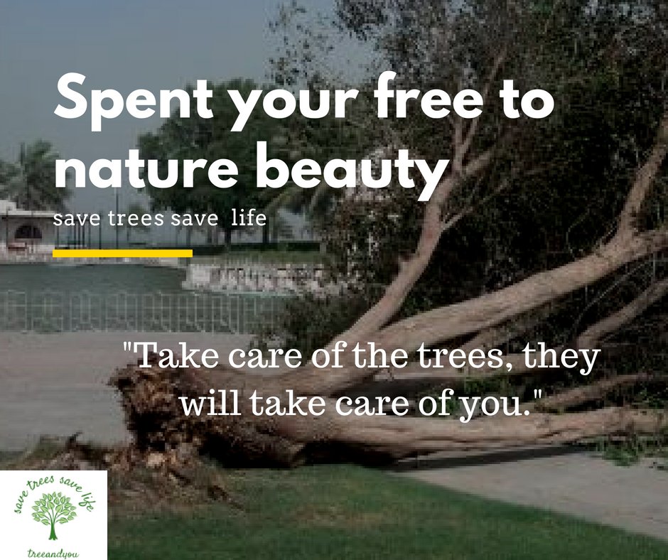 treesandyou's tweet photo. Nature Morte Treepex  #treessplanting #nature #earth #savenature #savetreeslife #lifeoftrees https://t.co/OEjYrgRn6i