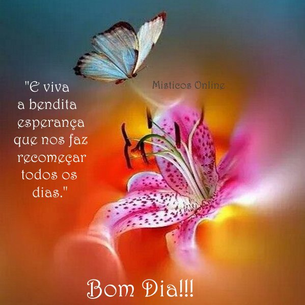 Misticos Online on X: Bom Dia!!! Ótima sexta!!! #misticosonline #misticos  #tarot #tarotonline #bomdia #pazeluz  / X