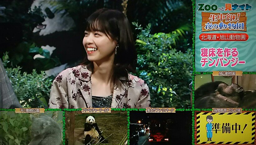 Zooっと見ナイト Hashtag On Twitter