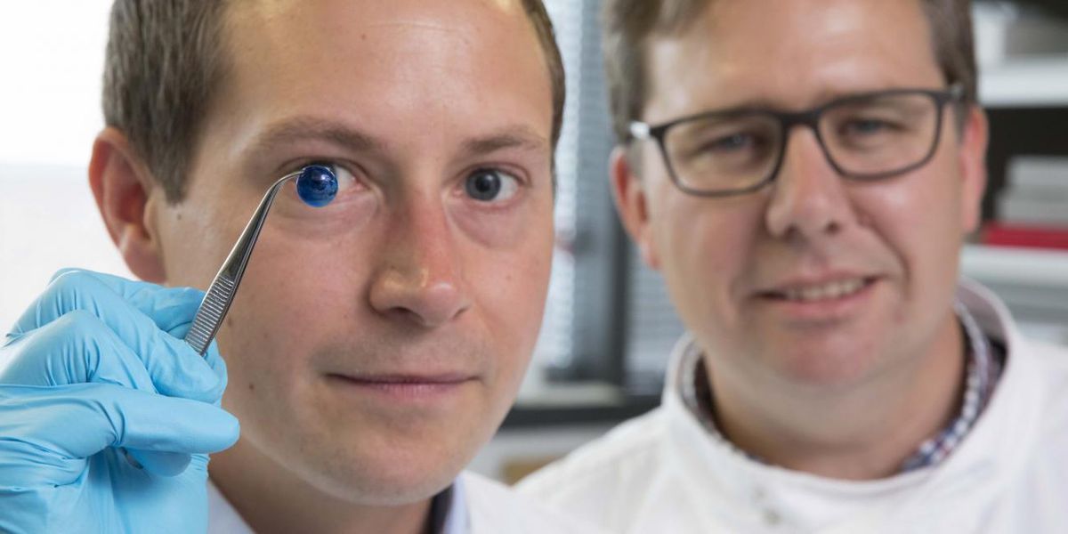 Scientists Just 3D Printed a Human Cornea Using Stem Cells #tech4humans #3dprinting #medical buff.ly/2LiI9QO