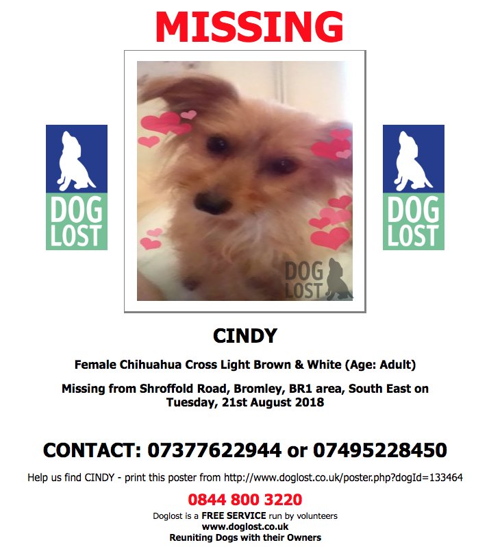 DogLostUK tweet picture