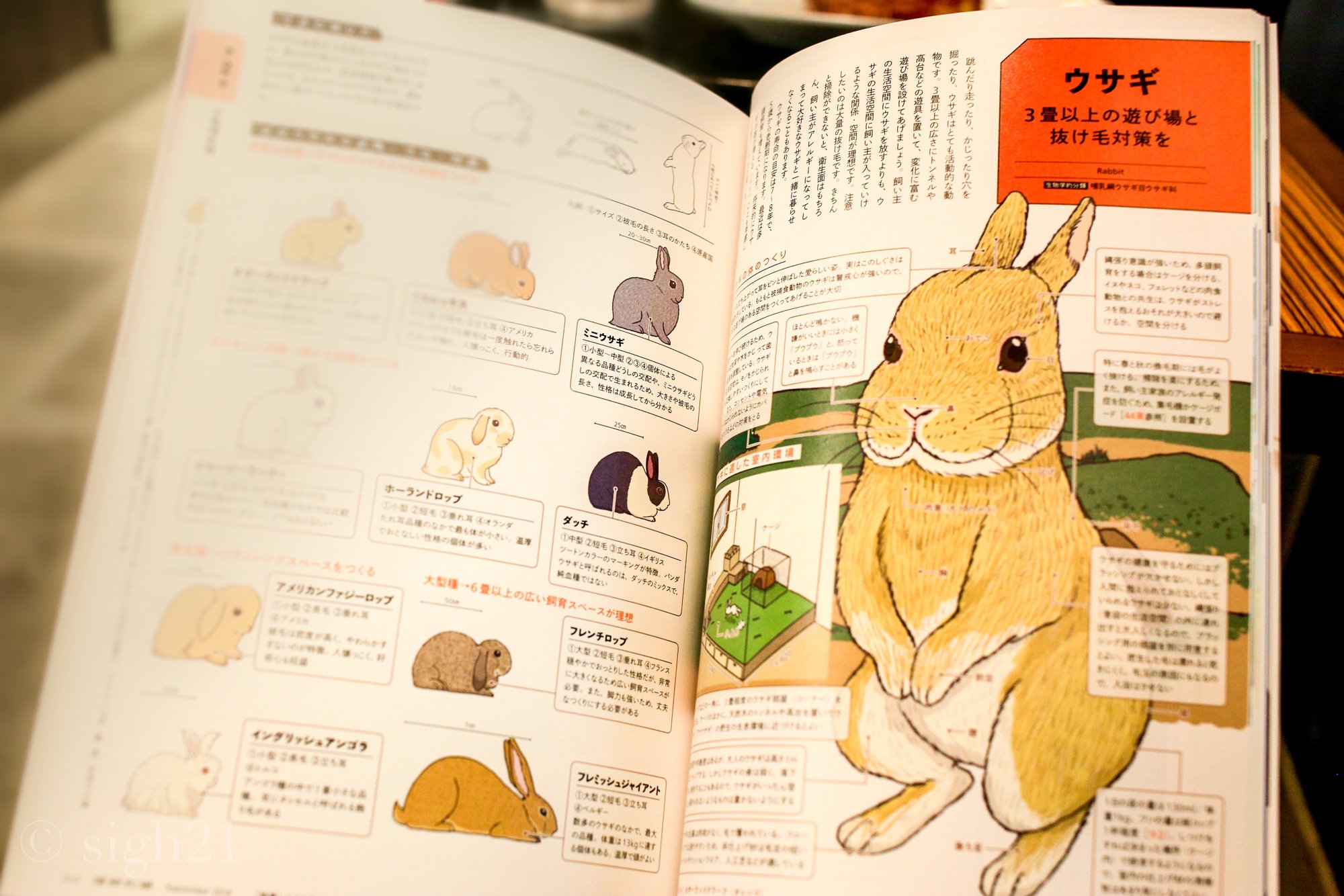 うさぎページ うさぎのしっぽ通販は、『うさぎと暮らす83号』を全国へお届け