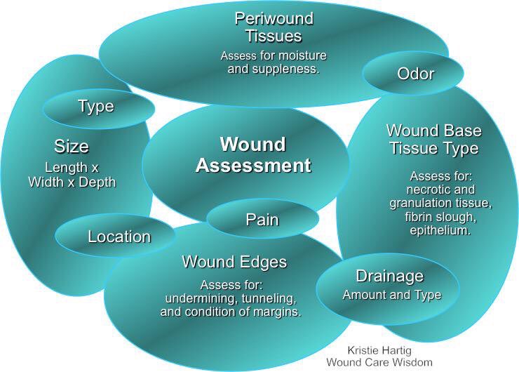 Key factors in #woundassessment