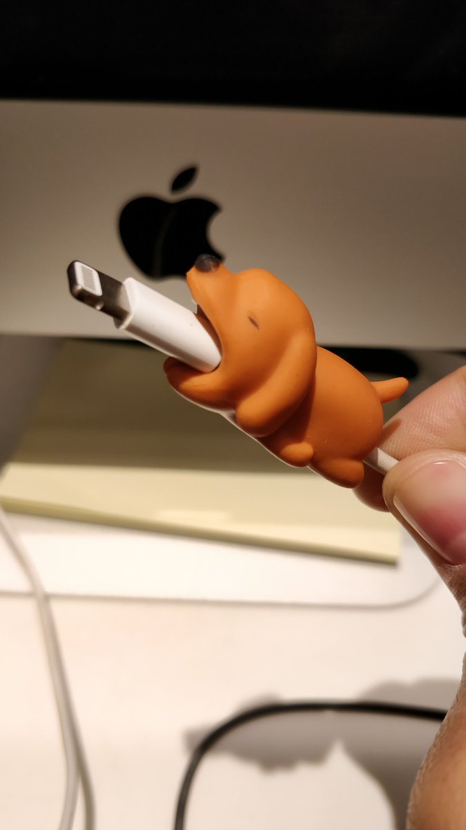 LadyInk421's tweet image. They really are as cute as they look!! 😍
#WireProtector #DOGLIFE