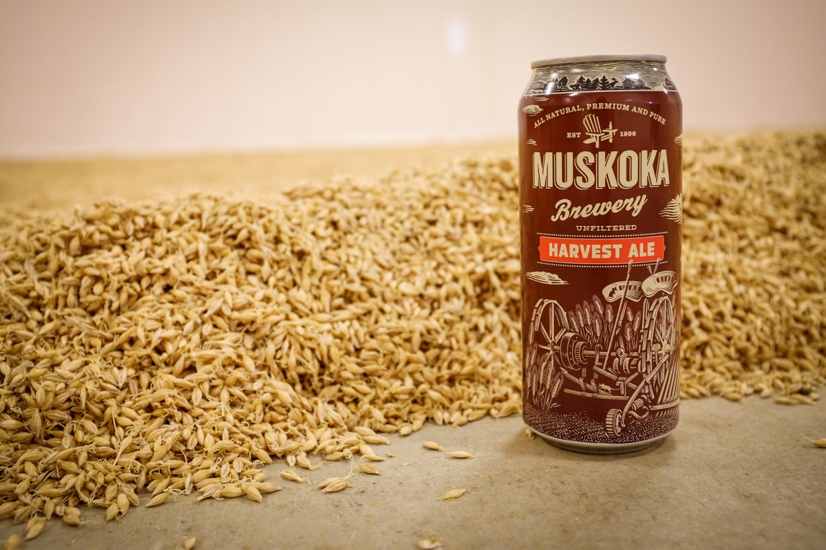 MuskokaBrewery's tweet photo. Yep, that's right. We're announcing a fall beer. Harvest Ale is coming soon, and for a second time, this big seasonal brew is made with 100% Ontario ingredients from @BarnOwlMalt, #CanadaMaltingCo, @TavistockHopCo and @EscarpmentLabs. 

Behind the beer: https://t.co/9ovQnDmKKw https://t.co/KrvYabxpt5