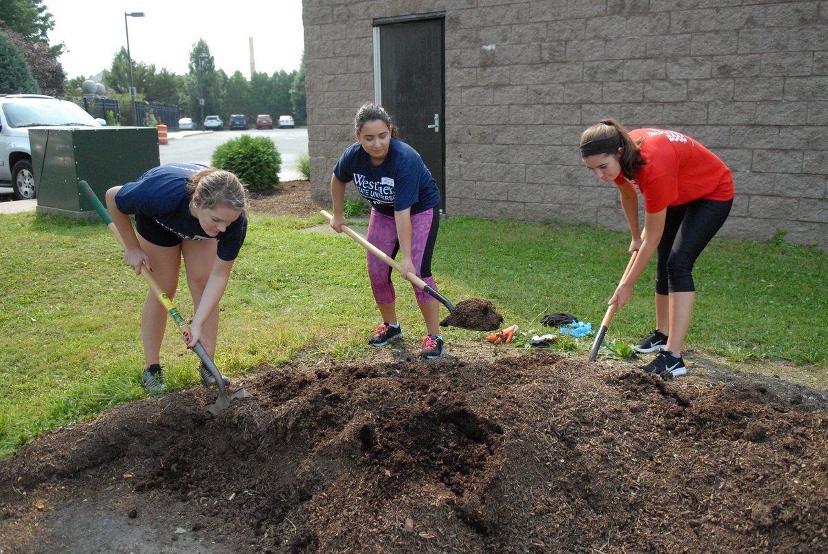 WestfieldState's tweet photo. #HOOTDay is all about helping out our town. Kick off the fall semester by volunteering throughout the city of @Westfield_MA with your fellow Owls!
Register: https://t.co/mxSeU5F9V7 https://t.co/0j2OYZJ3C5