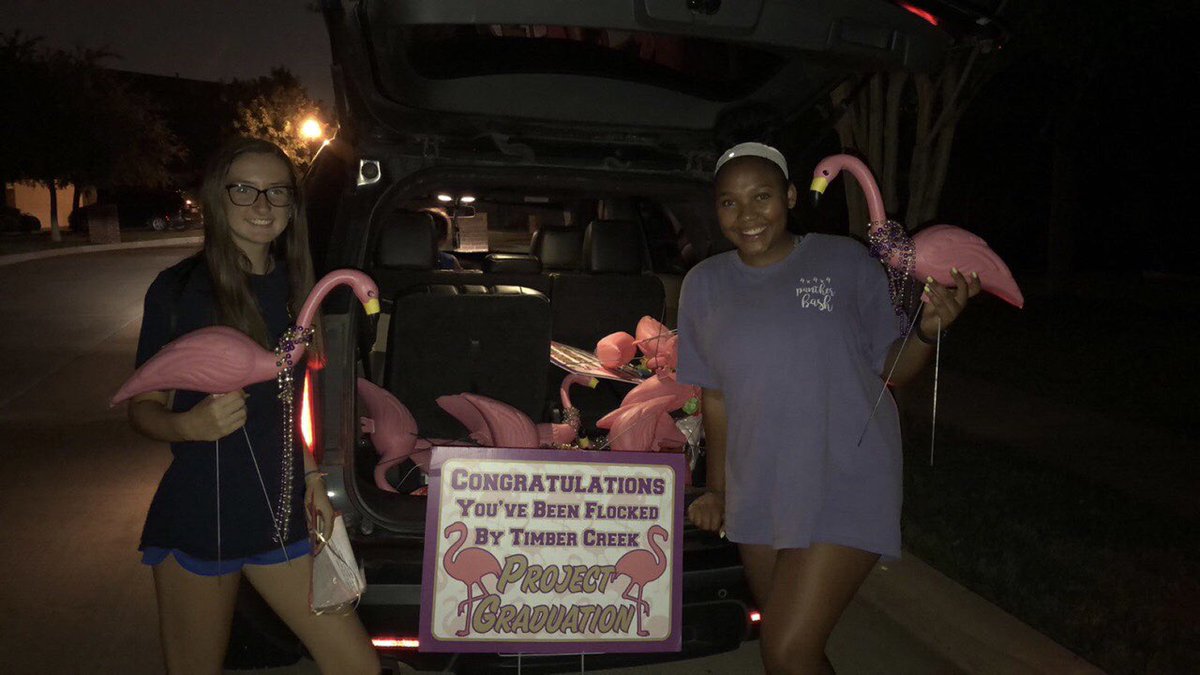 TCHSprojgrad's tweet photo. #FlockingFun 🌸 https://t.co/6tcfHj4ol5