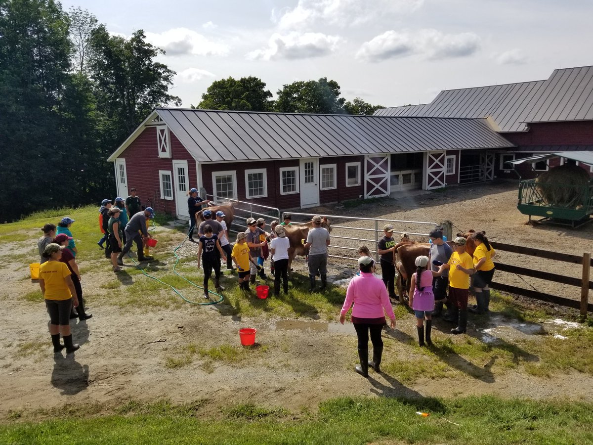 Working at the cow wash, whoa whoa whoa-o. Working at the cow wash yeah! Sing it with me...! 🎤🎶🐮 #farmersforaweek #Farmsforcitykids #Springbrookfarm #cow #happycows #farmrewards