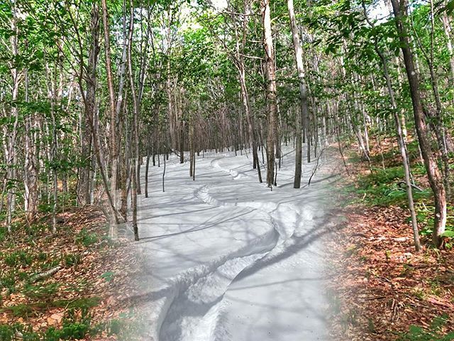 erikosterlund's tweet photo. Seasonal Depressions - 006 - #winterwithdrawalwednesday #wildnortheast #skitheeast #splitboardingistheanswer #skiuphillvt #wickedstoked2018 / #wickedstoked2019 #earnyourturns #splitboardingistheanswer #skitouring https://t.co/7AarmJzWTr https://t.co/ovkQAQkBUf