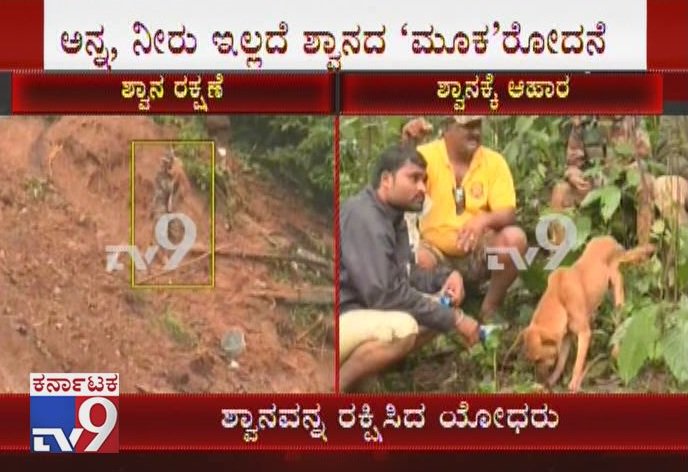 tv9kannada's tweet photo. 4 ದಿನಗಳಿಂದ ಅನ್ನ ನೀರು ಇಲ್ಲದೆ ನಾಯಿಯ ರೋದನೆ | ವರದಿ ಇಲ್ಲಿದೆ

Video Link: https://t.co/DtDBKqIKbY

#babymissing #babymissinginflood #BettermentofMadikeri #FloodVictimsLife #TopographyChanged #noroads #roadsmissing #SeveralVillages #RoadsVanished #EmotionalScenes https://t.co/TdYRjmcfSO