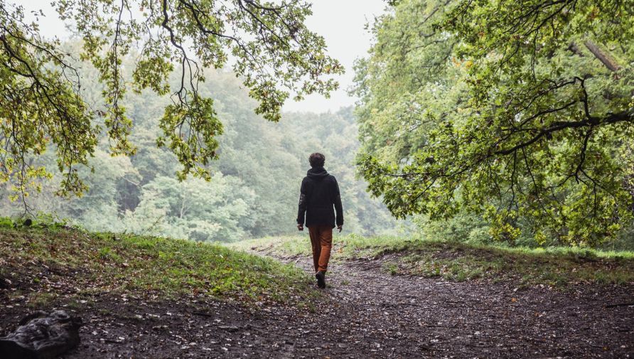 Van 1 september tot en met 27 oktober organiseert de gemeente voor jong en oud wandelingen en workshops in het groen. Wandel mee en ontdek de Haagse bossen, parken, duinen en landgoederen.
denhaag.nl/nl/in-de-stad/…