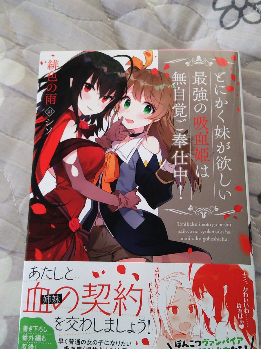 ヨナ とにかく妹が欲しい最強の吸血姫は無自覚ご奉仕中 面白すぎる 名前と職業を教えてくれるか 名前 はリスティア グランシェス 職業は 普通の女の子だよ それ職業ちゃうし 笑