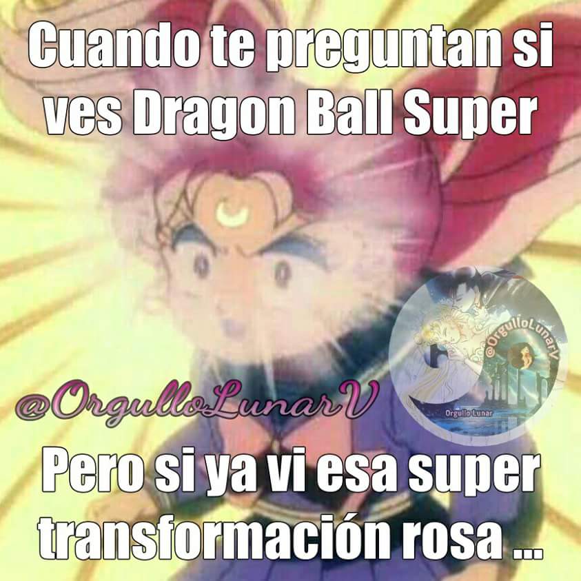 OrgulloLunar's tweet photo. #SailorMoon , #Chibiusa , #ChibiPower , #SailorMeme . @OrgulloLunar en Twitter , @OrgulloLunarV en Facebook , OrgulloLunar en Youtube , Tumblr e Instagram . #BlackLady , la verdadera y original 😉 . https://t.co/VVbjliP7nL