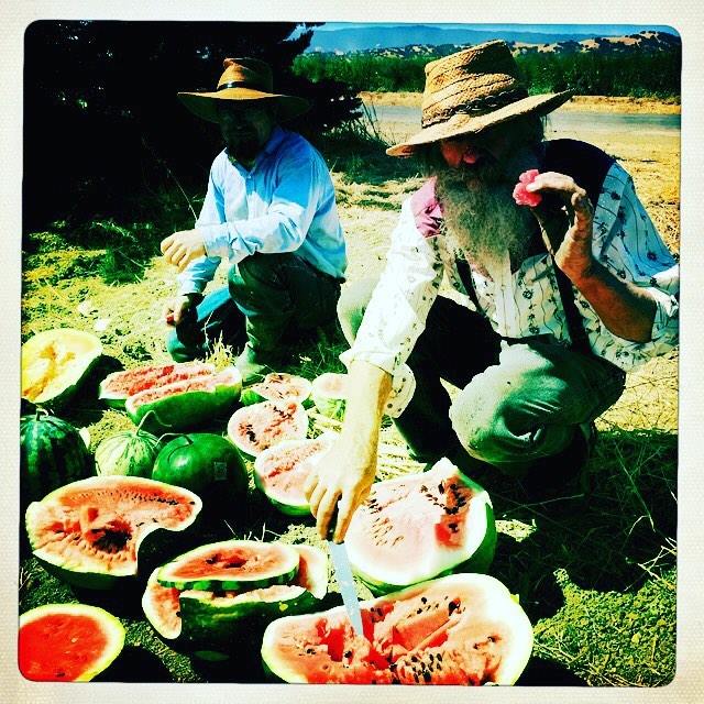 Baker Creek Seeds (rareseeds) Twitter