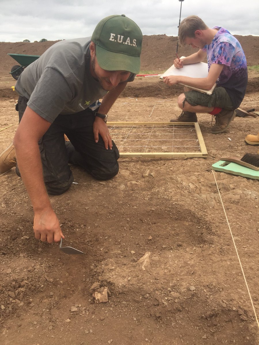 The trenches have started switching from line cleaning to feature excavation - how exciting! We also have some planning going on ready for the next section.