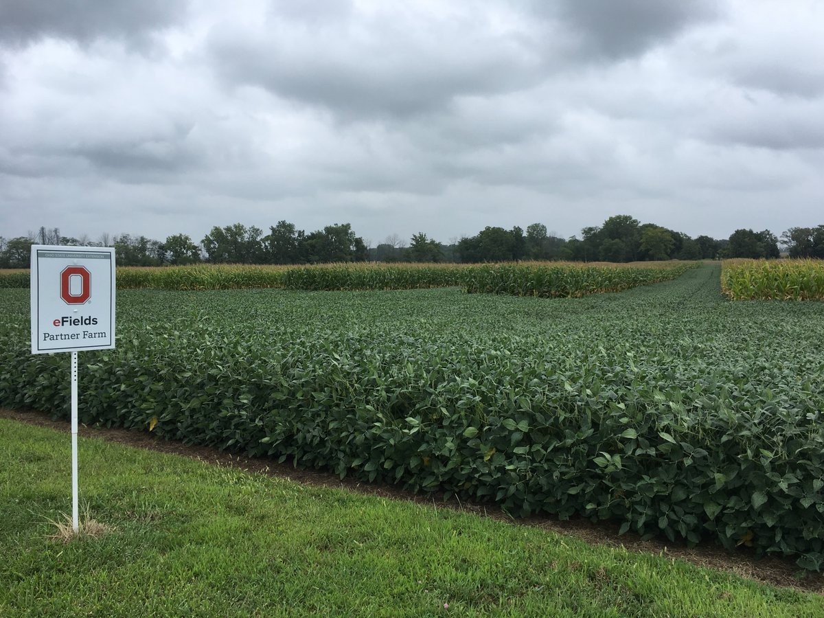 OhioStatePA's tweet photo. Come out and see the Farm of the Future this year at Farm Science Review on September 18-20. This year the Precision Ag Team investigated row spacing, row-by-row variable rate seeding, harvesting logistics, aerial imagery and more!
#FSR2018 #SeedingIntel #precisiondecisions https://t.co/pGETLEZaqG