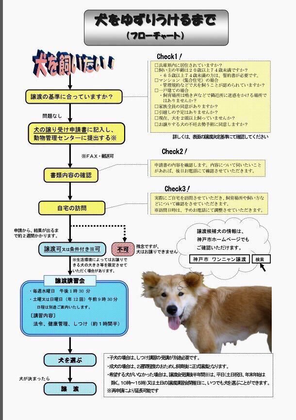 tamutamu on Twitter "🐶拡散希望🙏兵庫県 保健所 保護犬 犬 子犬 里親 募集