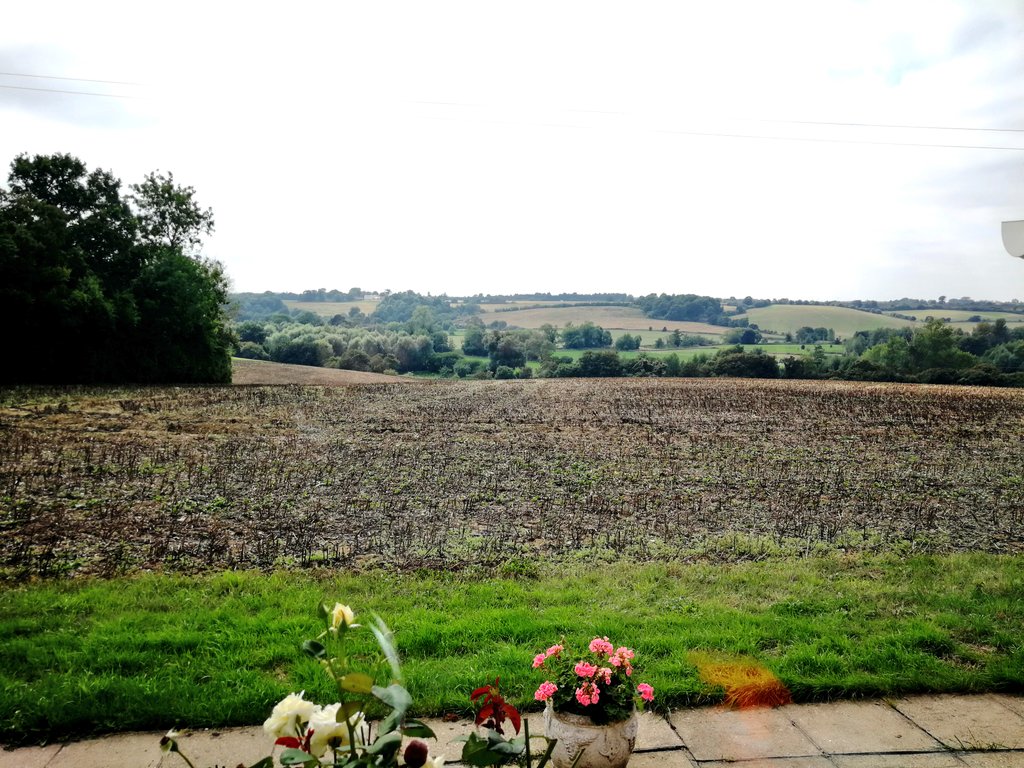 deanospud's tweet photo. What a place Whatfield is...... real life dreams no fake filters!!#Suffolk #Suffolkviews #huaweip20 #pictureperfectphotos #betternotbitter https://t.co/h3Zgxhmtas