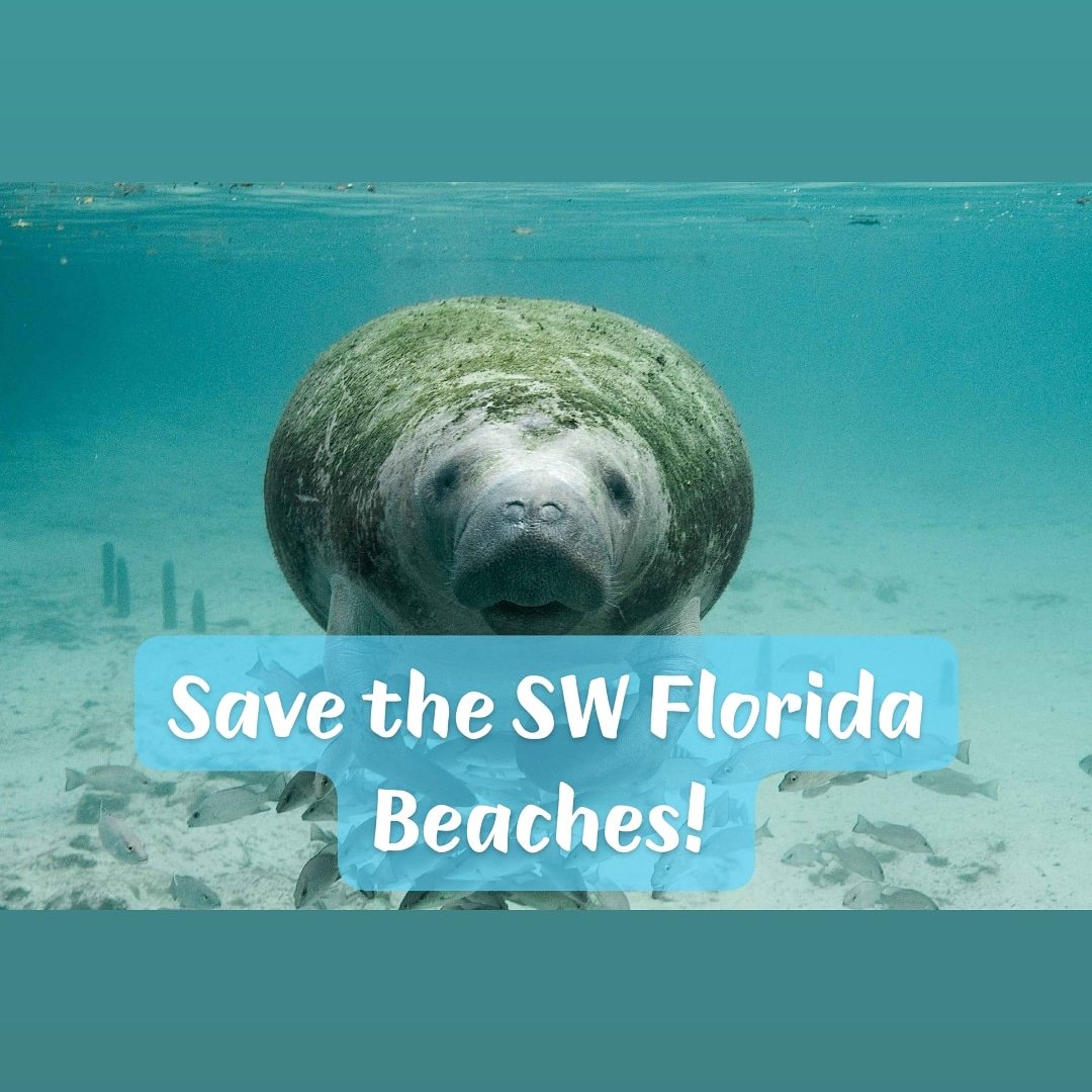 FlipFlopAgent's tweet photo. SW Florida is my home along with thousands of other Floridians. We love our beaches, our tourism, our ocean. save the beaches #saveswfloridabeaches #savetheturtles #savethemanatees #saveallsealife #redtide #nochemicals #echosystem #mothernature  #loveflorida #theflipflopagent https://t.co/Pmx29d36wW
