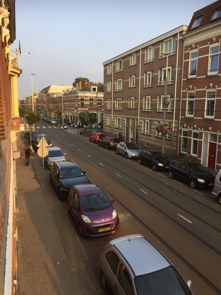 Sheesham&Lotus&Son tweet media