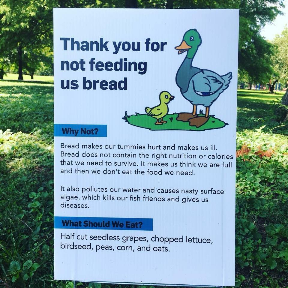 LochendPark's tweet image. Good advice