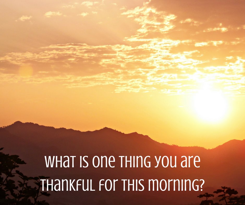 VickyWilsonGo's tweet image. I'm challenging myself (and those around me) to work on being more intentionally thankful each day. Can you find ONE thing right away this morning to be thankful for?