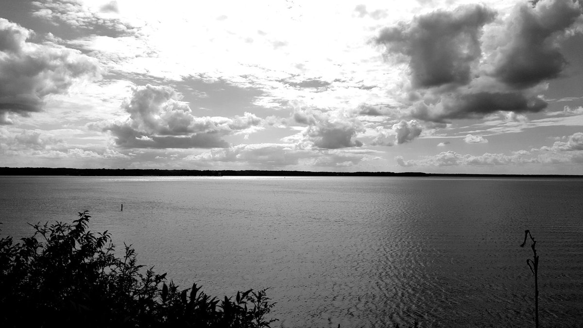 GraceBWrites's tweet photo. Seven days, 7 B&amp;W photos of your life. No humans, no explanations. (Day 6) Challenge someone new every day. Challenged by @mrssexybook . I hate challenging. Anyone want in? I challenge you! https://t.co/Lfrss7xlaZ