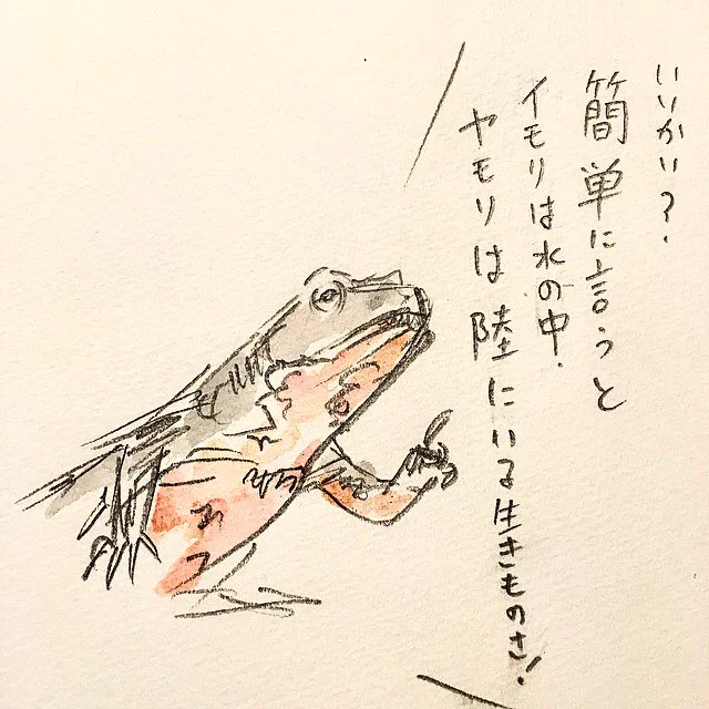 イモリとヤモリ、どっちがどっち？見分けがつきづらい動物達。