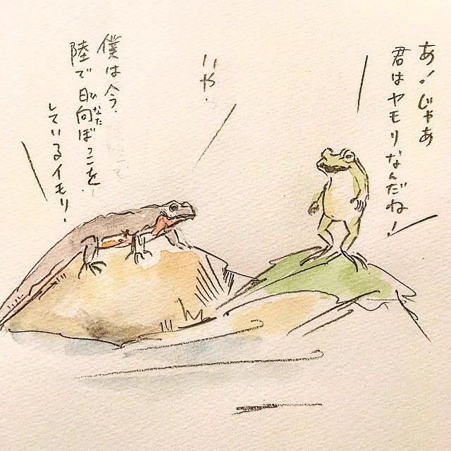 イモリとヤモリ、どっちがどっち？見分けがつきづらい動物達。